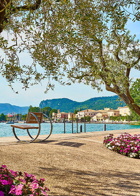 Bardolino, Torri del Benaco, Malcesine